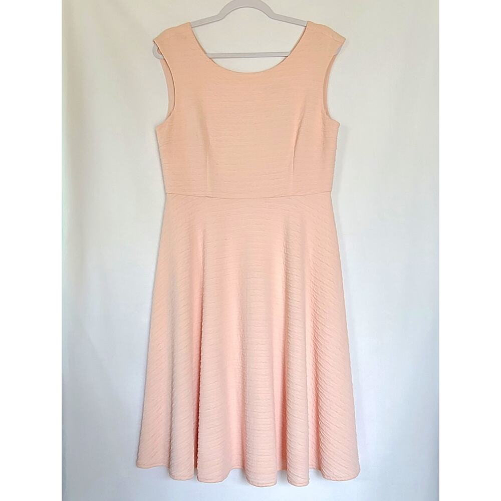 NWT Prescot & York Fit & Flare Mollie Peachy Rose Textured Dress Womens Size 8 - Picture 3 of 12